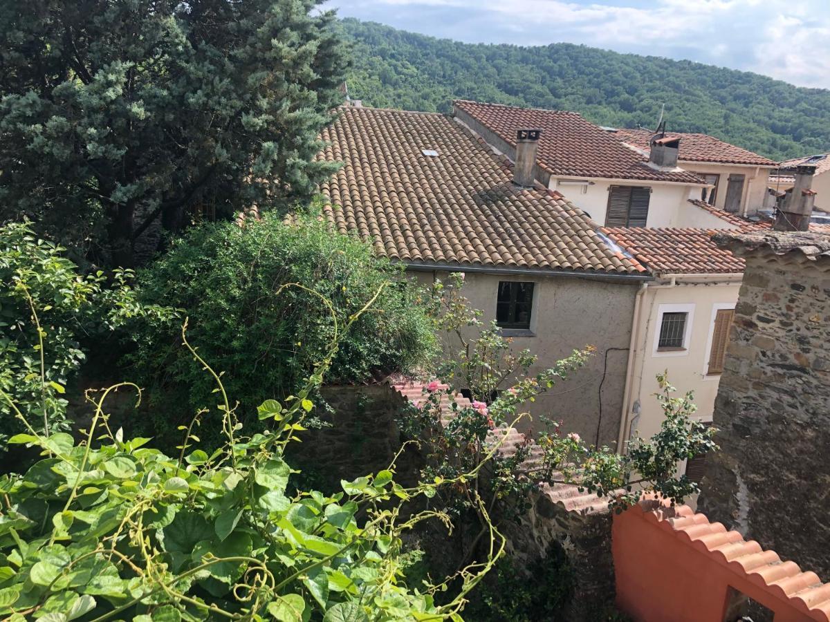 La Provence Authentique A 30 Minutes Des Plages Lägenhet Collobrières Exteriör bild