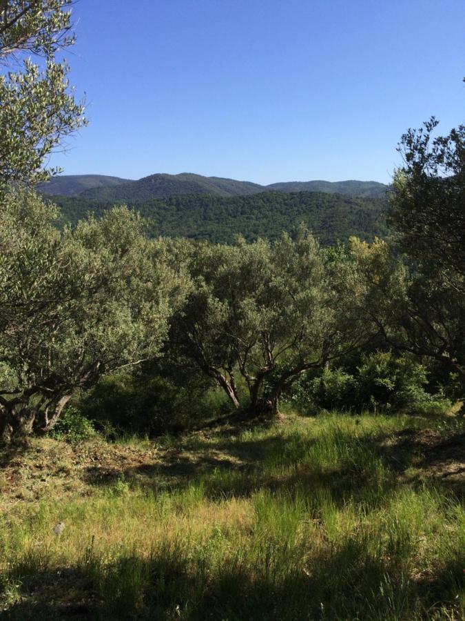 La Provence Authentique A 30 Minutes Des Plages Lägenhet Collobrières Exteriör bild