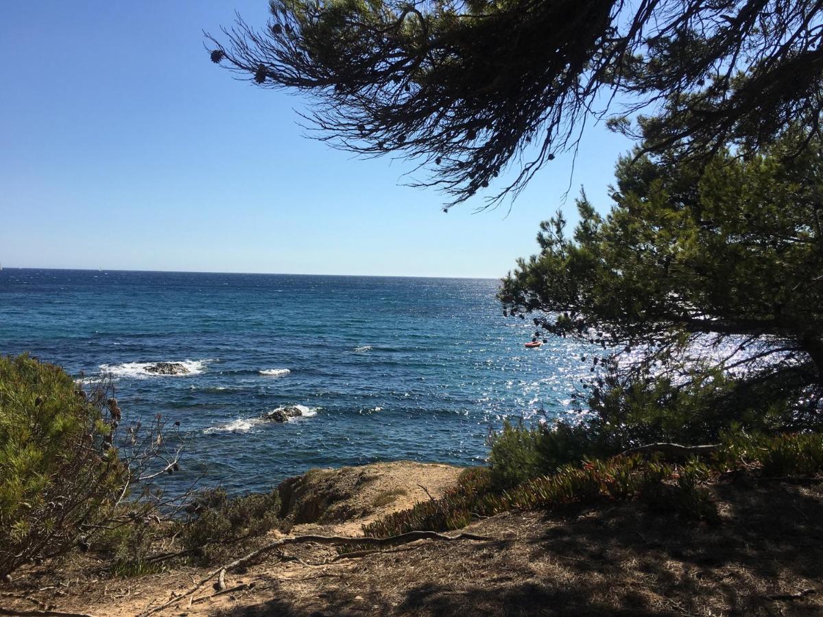 La Provence Authentique A 30 Minutes Des Plages Lägenhet Collobrières Exteriör bild