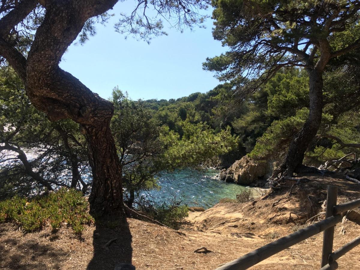 La Provence Authentique A 30 Minutes Des Plages Lägenhet Collobrières Exteriör bild